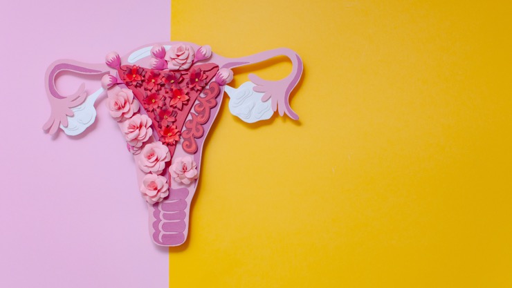 A flower figure depicting a female's reproductive system in yellow and pink background